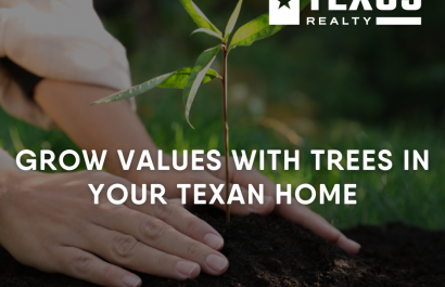 Grow Value with Trees in Your Texas Home
